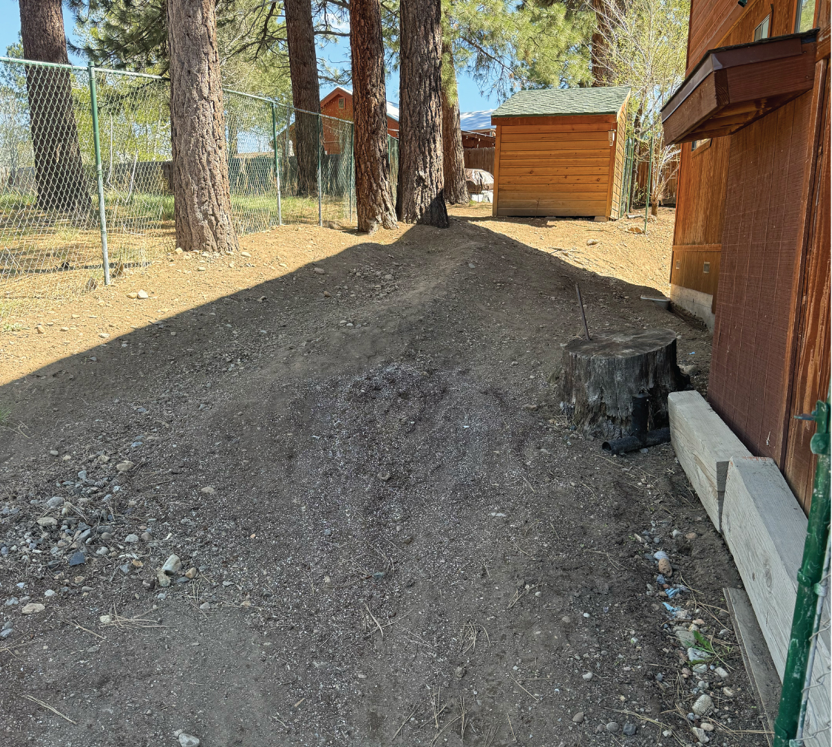 Yard in Truckee, California after Yard Debris Removal