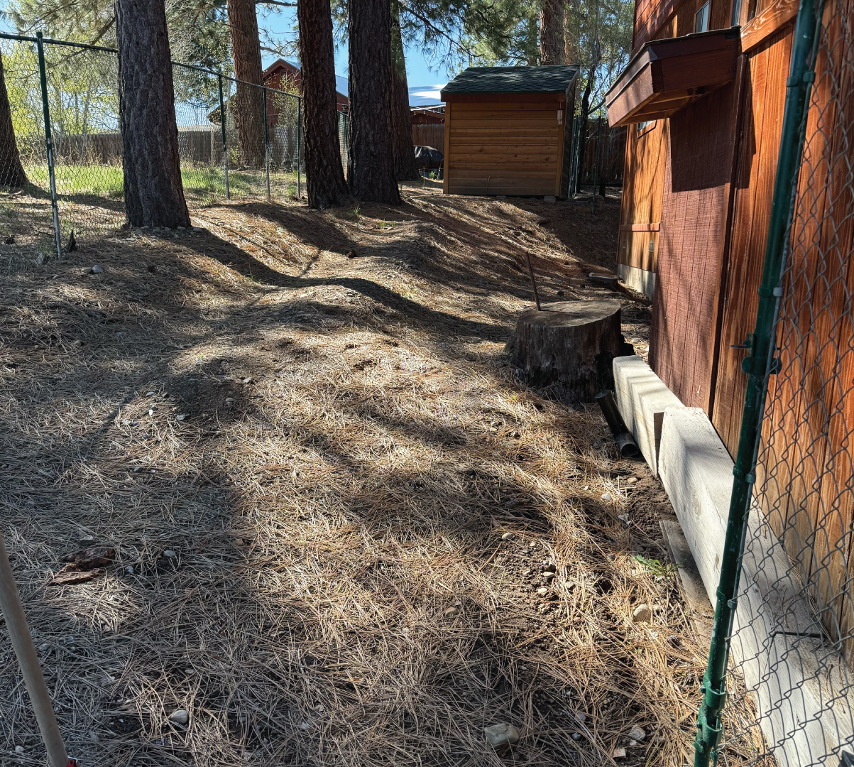 Yard in Truckee, California with before Yard Debris Removal